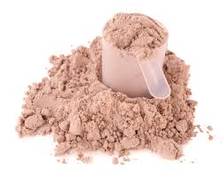 Protein Supplement – Do you actually Eat just To obtain the Essential Amino Acids?