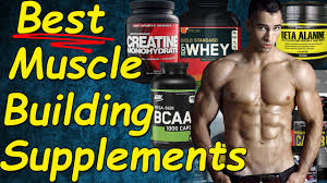What users say About the Best Build Muscle Supplements that you can purchase