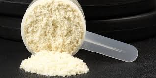 Can Protein Supplements Support you?