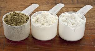 Are Protein Supplements for everybody?