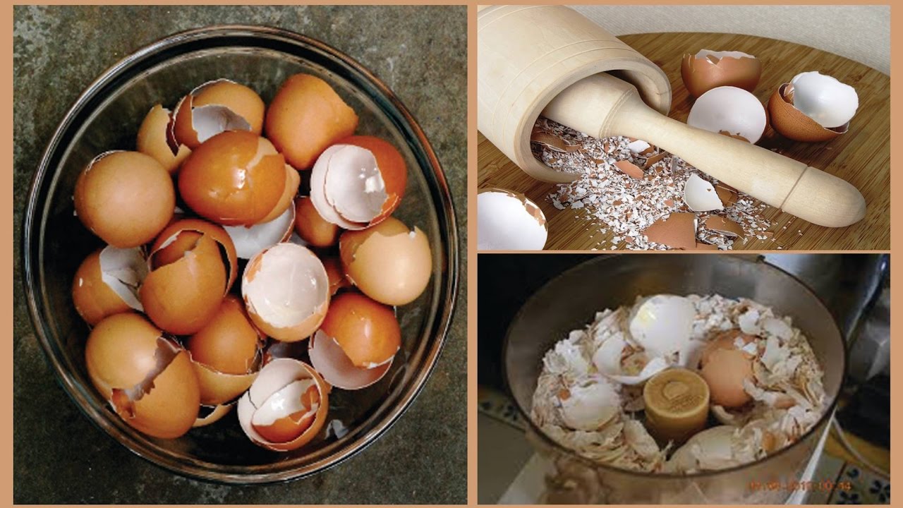 After Reading This You Will Never Throw Away Eggshells!
