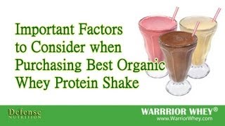 Best Organic Whey Protein Shake – Warrior Whey
