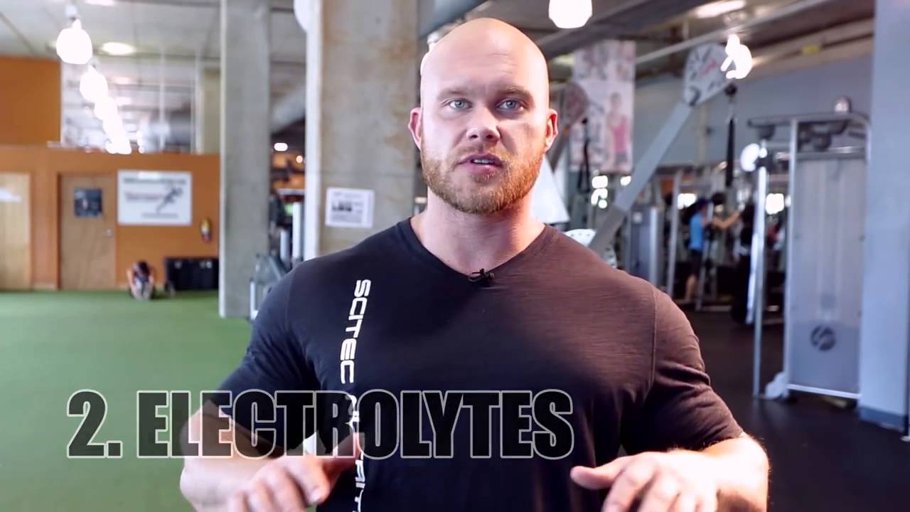 Top 5 Best Whey Protein Powder Supplements 2016 First Half | Massivejoes.Com | Isolate Shakes