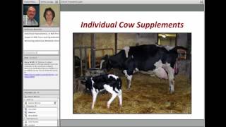 Treatment and Prevention of Hypocalcemia